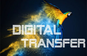 Digitaldruck-Transfer in Premium Qualität